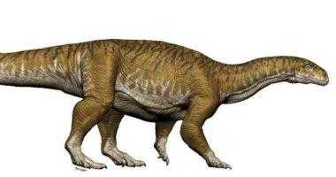 динозавр Триасовый период